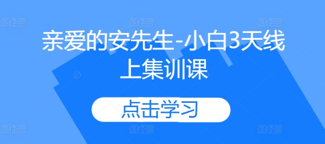 亲爱的安先生-小白3天线上集训课-网赚项目众筹网