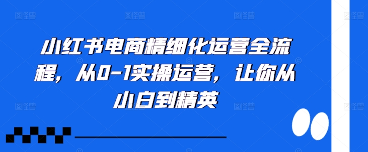 小红书电商精细化运营全流程，从0-1实操运营，让你从小白到精英-网赚项目众筹网