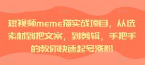 短视频meme猫实战项目,从选素材到把文案,到剪辑,手把手的教你快速起号涨粉-网赚项目众筹网