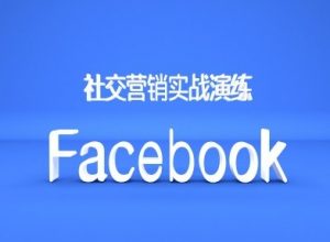 Facebook社交营销实战演练,外贸人绝对不能错过的营销推广平台-网赚项目众筹网