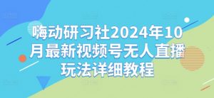 嗨动研习社2024年10月最新视频号无人直播玩法详细教程-网赚项目众筹网