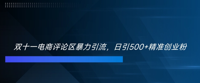 双十一电商评论区暴力引流，日引500+精准创业粉【揭秘】-网赚项目众筹网