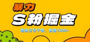 单人单机日引千粉,变现1k+,S粉流量掘金计划攻略【揭秘】-网赚项目众筹网