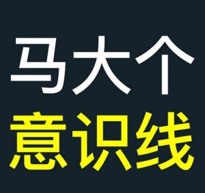 马大个意识线,一门改变人生意识的课程,讲解什么是能力线什么是意识线-网赚项目众筹网