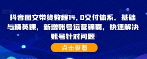 抖音图文带货教程14.0交付体系,基础与精英课,新增账号运营锦囊,快速解决账号针对问题-网赚项目众筹网