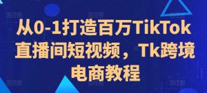 从0-1打造百万TikTok直播间短视频,Tk跨境电商教程-网赚项目众筹网