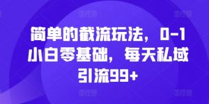 简单的截流玩法,0-1小白零基础,每天私域引流99+【揭秘】-网赚项目众筹网