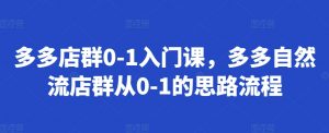 多多店群0-1入门课,多多自然流店群从0-1的思路流程-网赚项目众筹网