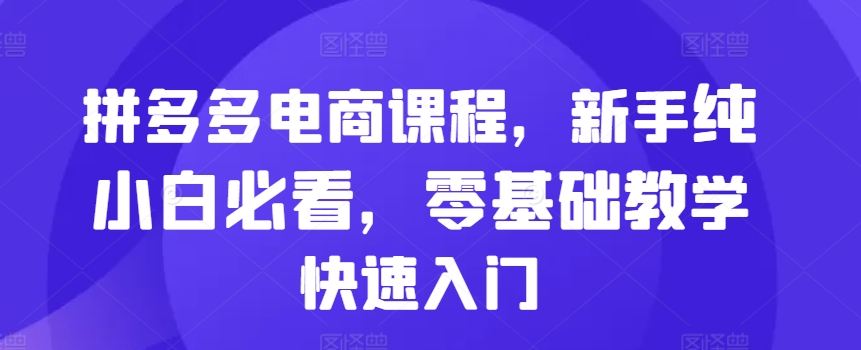 拼多多电商课程，新手纯小白必看，零基础教学快速入门-网赚项目众筹网