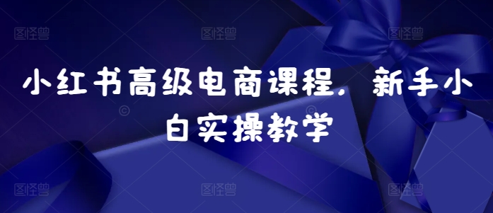 小红书高级电商课程，新手小白实操教学-网赚项目众筹网