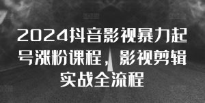 2024抖音影视暴力起号涨粉课程,影视剪辑搬运实战全流程-网赚项目众筹网