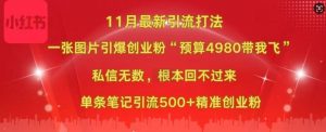 小红书11月最新图片打粉,一张图片引爆创业粉,“预算4980带我飞”,单条引流500+精准创业粉-网赚项目众筹网