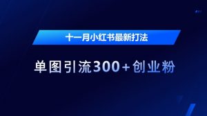 十一月小红书最新打法,单图引流300+创业粉【揭秘】-网赚项目众筹网