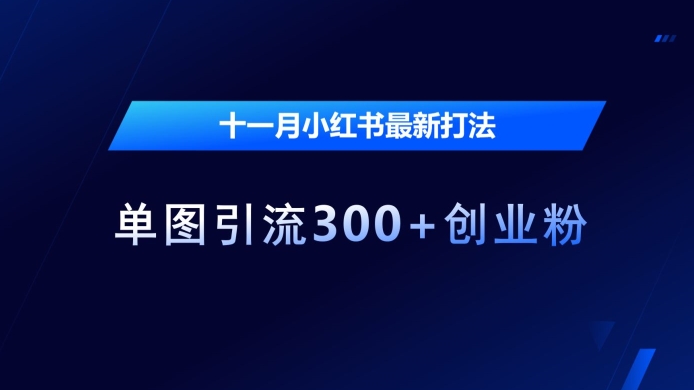 十一月小红书最新打法，单图引流300+创业粉【揭秘】-网赚项目众筹网