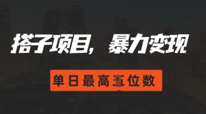 2024搭子玩法,0门槛,暴力变现,单日最高破四位数【揭秘】-网赚项目众筹网