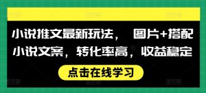 小说推文最新玩法, 图片+搭配小说文案,转化率高,收益稳定-网赚项目众筹网