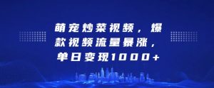 萌宠炒菜视频,爆款视频流量暴涨,单日变现1k-网赚项目众筹网