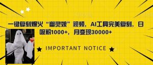 一键复刻爆火“幽灵娘”视频,AI工具完美复刻,日吸粉1000+,月变现过W-网赚项目众筹网