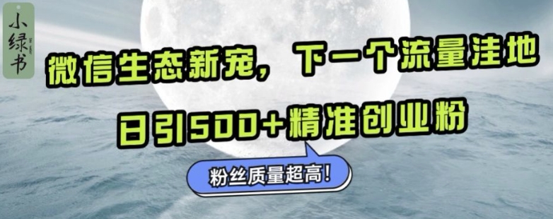 微信生态新宠小绿书：下一个流量洼地，日引500+精准创业粉，粉丝质量超高-网赚项目众筹网