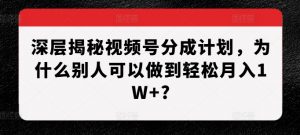 深层揭秘视频号分成计划,为什么别人可以做到轻松月入1W+?-网赚项目众筹网