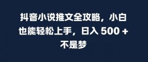 抖音小说推文全攻略,小白也能轻松上手,日入 5张+ 不是梦【揭秘】-网赚项目众筹网