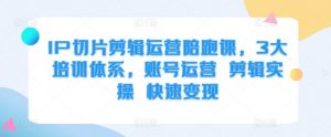 IP切片剪辑运营陪跑课,3大培训体系,账号运营 剪辑实操 快速变现-网赚项目众筹网