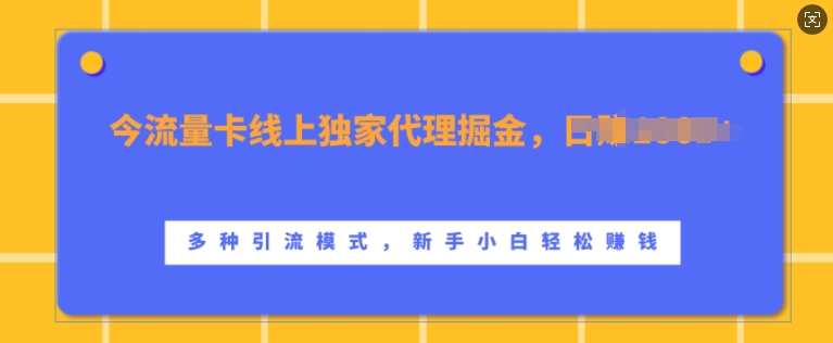 流量卡线上独家代理掘金，日入1k+ ，多种引流模式，新手小白轻松上手【揭秘】-网赚项目众筹网