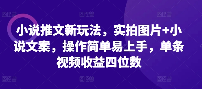 小说推文新玩法，实拍图片+小说文案，操作简单易上手，单条视频收益四位数-网赚项目众筹网
