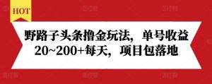 野路子头条撸金玩法,单号收益20~200+每天,项目包落地-网赚项目众筹网