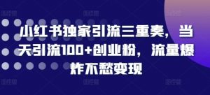 小红书独家引流三重奏,当天引流100+创业粉,流量爆炸不愁变现【揭秘】-网赚项目众筹网