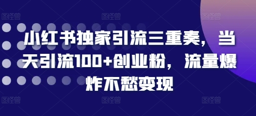 小红书独家引流三重奏，当天引流100+创业粉，流量爆炸不愁变现【揭秘】-网赚项目众筹网