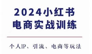 2024小红书电商3.0实战训练,包含个人IP、引流、电商等玩法-网赚项目众筹网