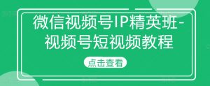 微信视频号IP精英班-视频号短视频教程-网赚项目众筹网
