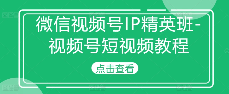 微信视频号IP精英班-视频号短视频教程-网赚项目众筹网
