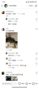 小红书私人定制图项目,附赠一单4W渠道【揭秘】-网赚项目众筹网