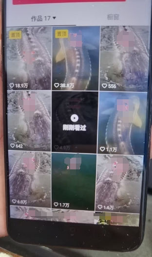 外面卖399的国学佛像原创暴力起号技术，快速起号，7天可达到一个万粉号-网赚项目众筹网