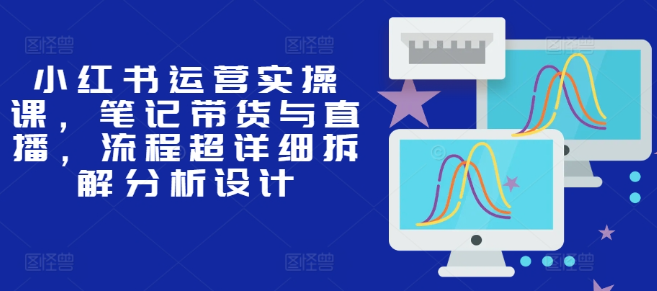 小红书运营实操课，笔记带货与直播，流程超详细拆解分析设计-网赚项目众筹网