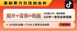 抖音最新暴力引流创业粉,3分钟一条创业类视频,24h轻松加爆一个500人精准创业粉群【揭秘】-网赚项目众筹网