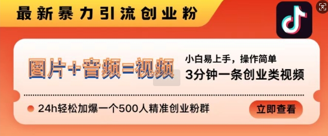 抖音最新暴力引流创业粉，3分钟一条创业类视频，24h轻松加爆一个500人精准创业粉群【揭秘】-网赚项目众筹网