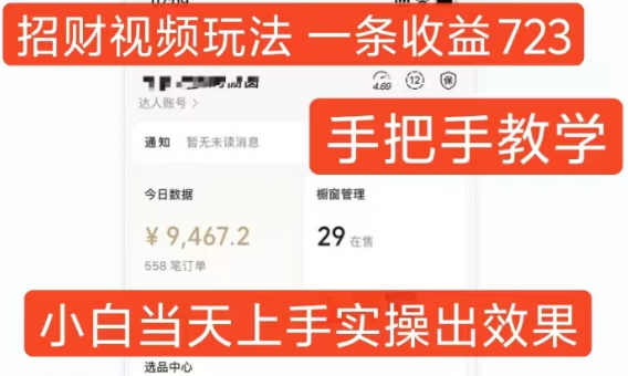 招财视频玩法，一条视频收益723，手把手教学，小白当天可上手-网赚项目众筹网
