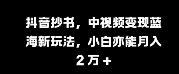 抖音抄书，中视频变现蓝海新玩法，小白亦能月入 过W【揭秘】-网赚项目众筹网