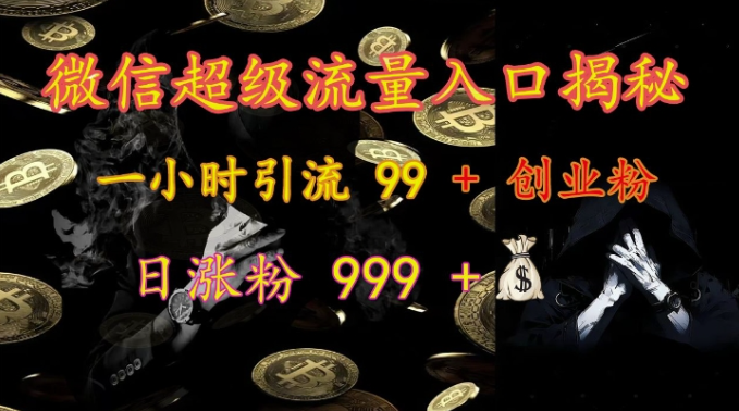 微信超级流量入口揭秘：一小时引流 99 + 创业粉，日涨粉 999 +-网赚项目众筹网