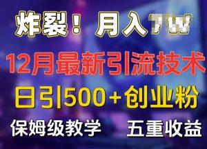 炸裂!揭秘12月最新日引流500+精准创业粉,多重收益保姆级教学-网赚项目众筹网