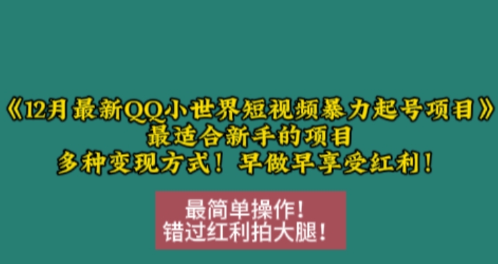 12月最新QQ小世界短视频暴力起号项目，最适合新手的项目，多种变现方式-网赚项目众筹网