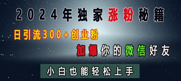 2024年独家涨粉秘籍，日引流300+创业粉，加爆你的微信好友，小白也能轻松上手-网赚项目众筹网