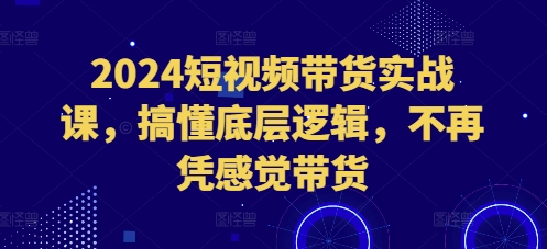 2024短视频带货实战课，搞懂底层逻辑，不再凭感觉带货-网赚项目众筹网