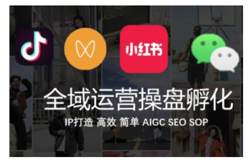全域运营操盘(抖音+私域+小红书)，IP打造高效简单-网赚项目众筹网