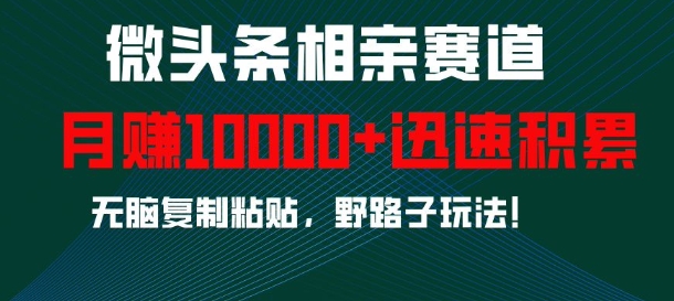 微头条相亲赛道，迅速积累，无脑复制粘贴，野路子玩法，月入1w-网赚项目众筹网