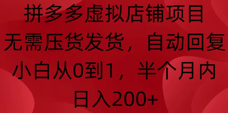拼多多虚拟店铺项目，无需压货发货，自动回复，小白从0到1，半个月内日入200+【揭秘】-网赚项目众筹网