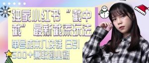 最新小红书截流玩法 独家截中截 单号成本几块钱 日引500+CY粉JZ粉-网赚项目众筹网
